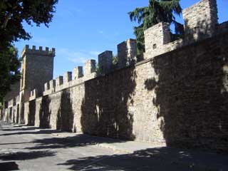 San Frediano Walls